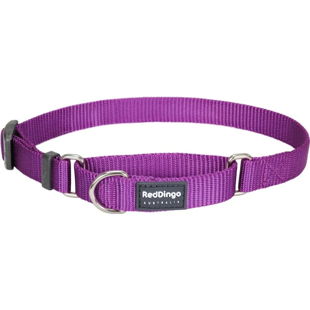 Red Dingo Classic Martingale Dog Collar 12mm